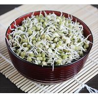 Kitchen Garden Organic Mung Bean Sprouting Seeds 100g